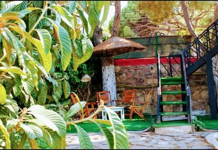Айвалык: Limon Agaci Pansiyon