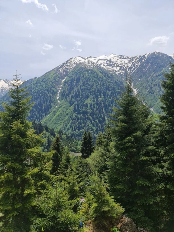 Чамлыхемшин: Yayla Bungalov