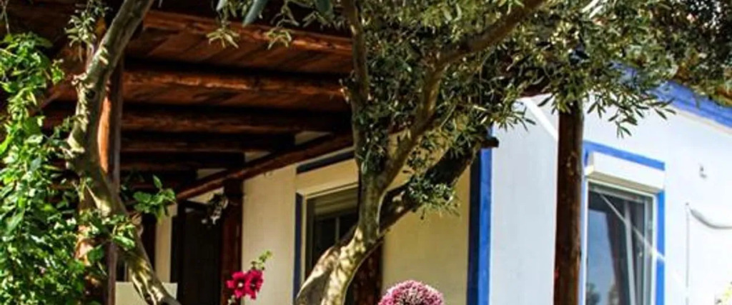 Tenedos Bag Evleri — фото 1