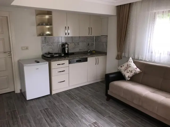 Чамлыхемшин: Ayder Palas Apart Hotel