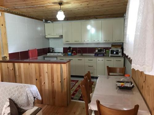 Чамлыхемшин: Ayder Palas Apart Hotel