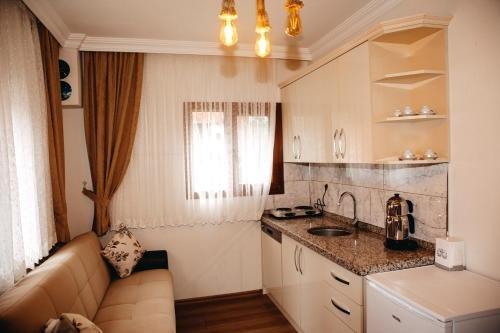 Чамлыхемшин: Ayder Palas Apart Hotel