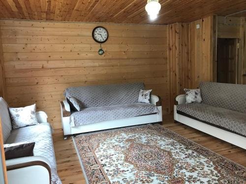 Чамлыхемшин: Ayder Palas Apart Hotel
