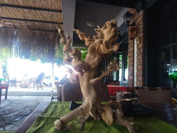Дальян: Yolo Otel Dalyan