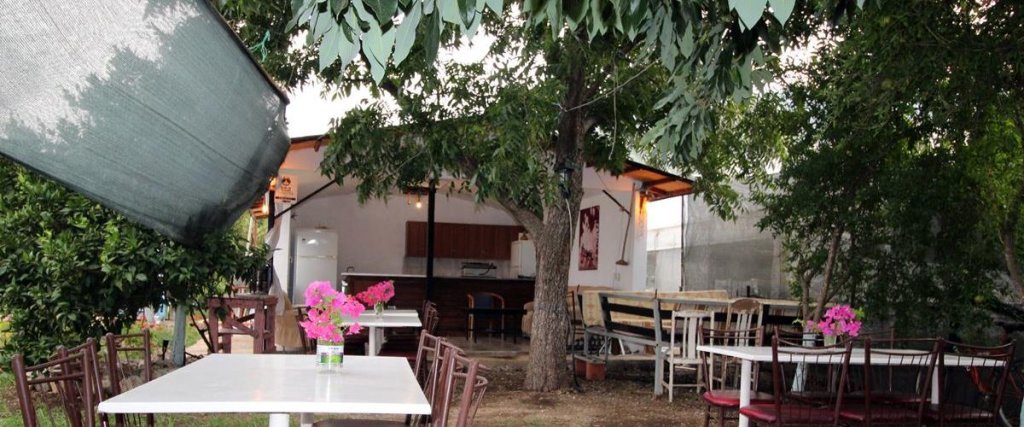 Чиралы: Gold Altinkaya Camping Apart