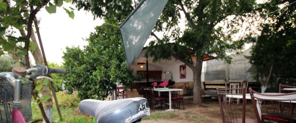 Чиралы: Gold Altinkaya Camping Apart
