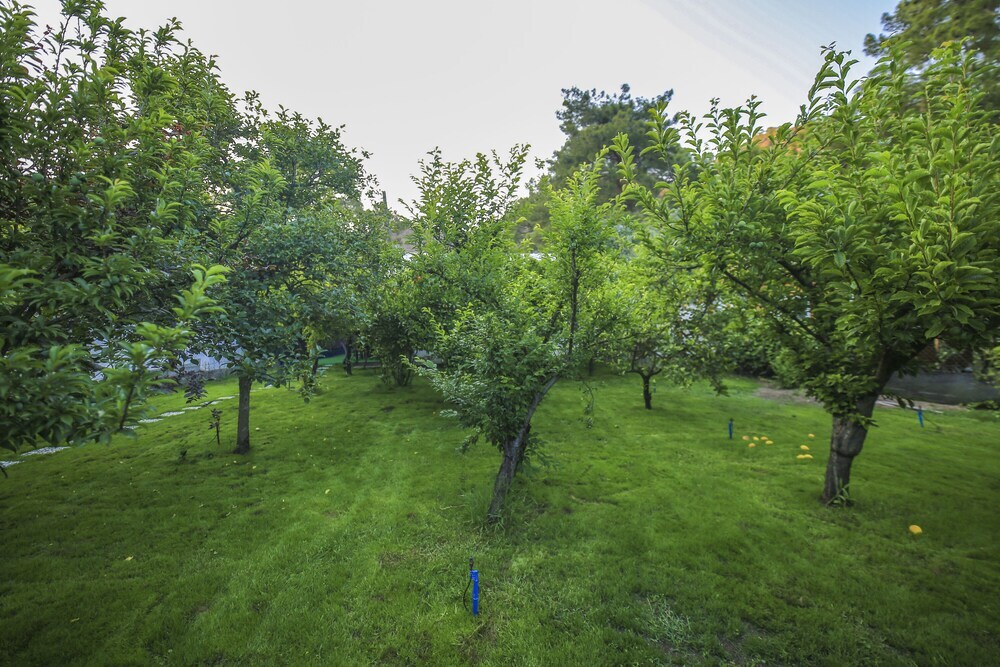 Чиралы: Seker Bungalov
