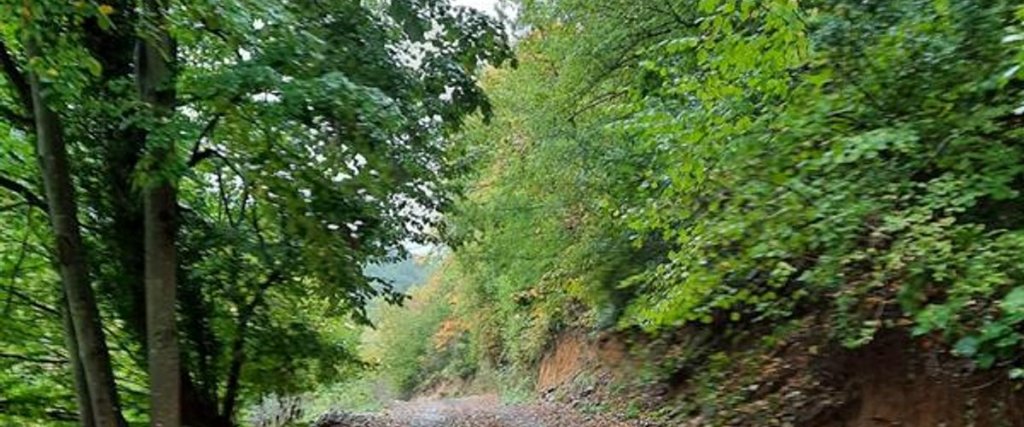 Увезпинар: Lagun Pool Village