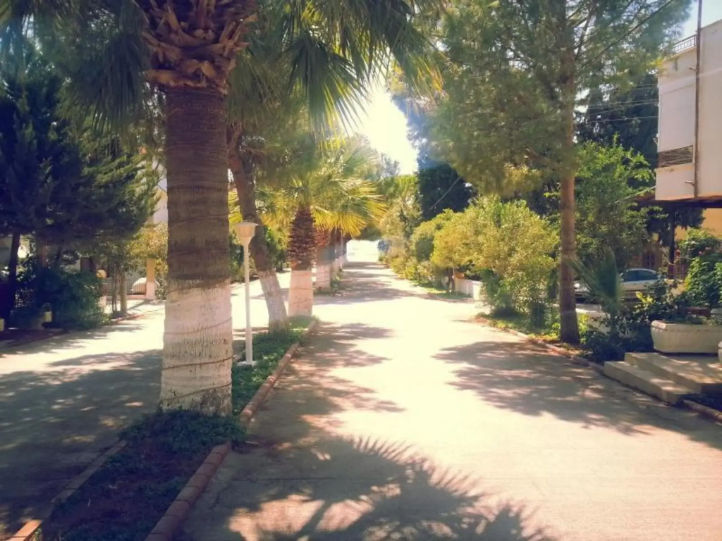 Капикири: Hotel Fiesta Beach