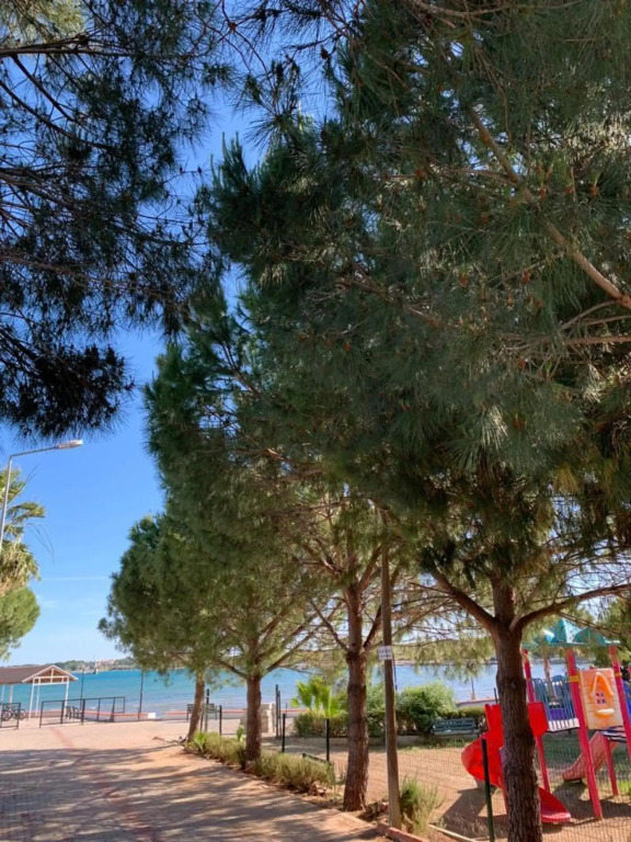 Капикири: Hotel Fiesta Beach