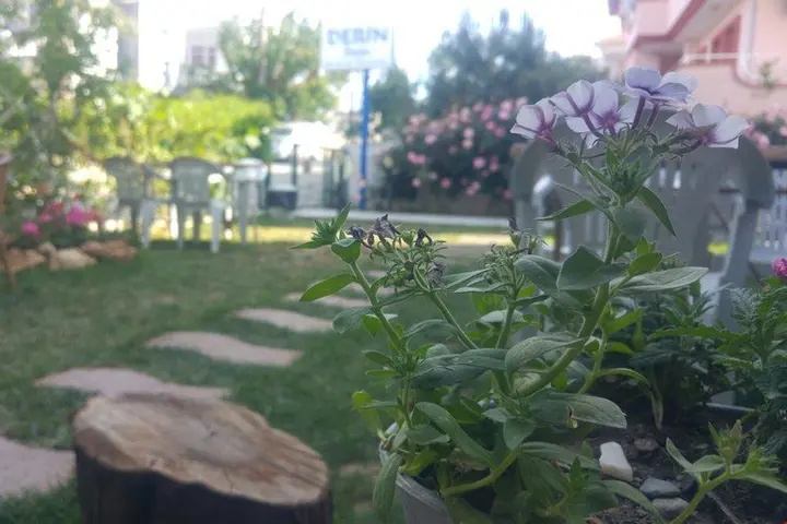 Сыгаджик: Derin Pansiyon