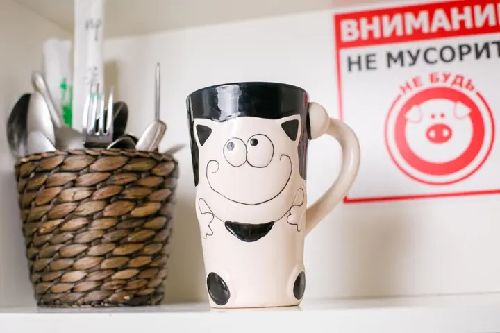 Нижний Новгород: Хостел Матрёшки
