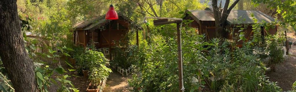 Кумлуджа: Canario Pension