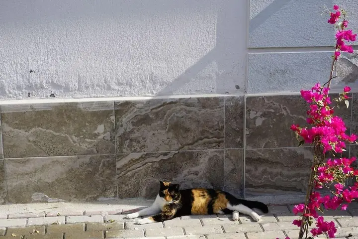 Даламан: Lovely 2 Rooms Apartment With Pool and Air Con