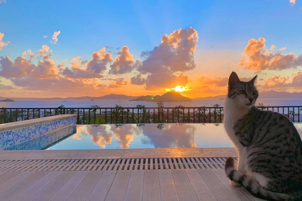 Тургутрейс: Bodrum - 5 Bedrooms Villa With Heated Pool