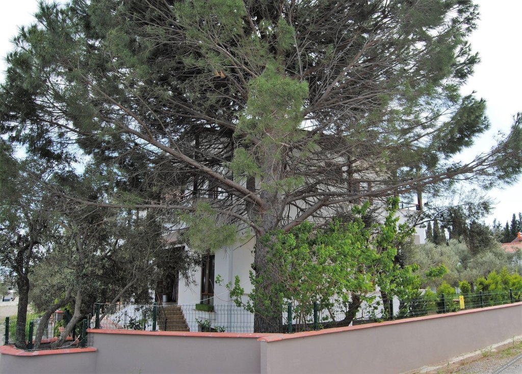Эдремит: Beyaz Konak Gure