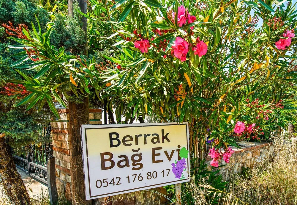 Бозджаада: Berrak Bağ Evi