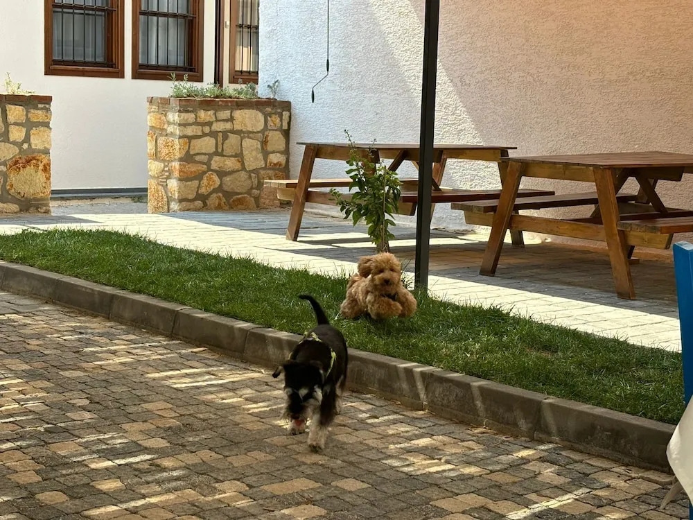 Бозджаада: İrinikos Otel