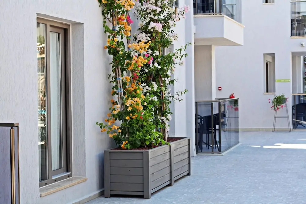 Бодрум: Queen Residence & Apart Hotel