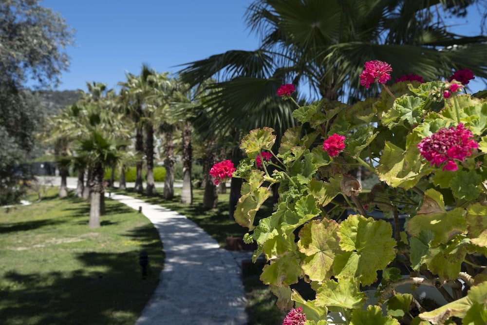 Саригерме: Castle Resort & Spa Hotel - All Inclusive