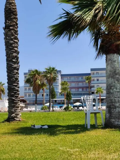 Diva Turka Beach Hotel — фото 5