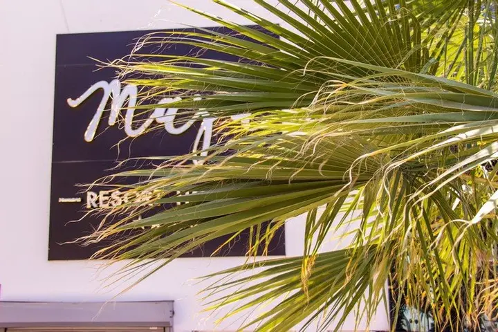 Бодрум: Maja Resort Hotel