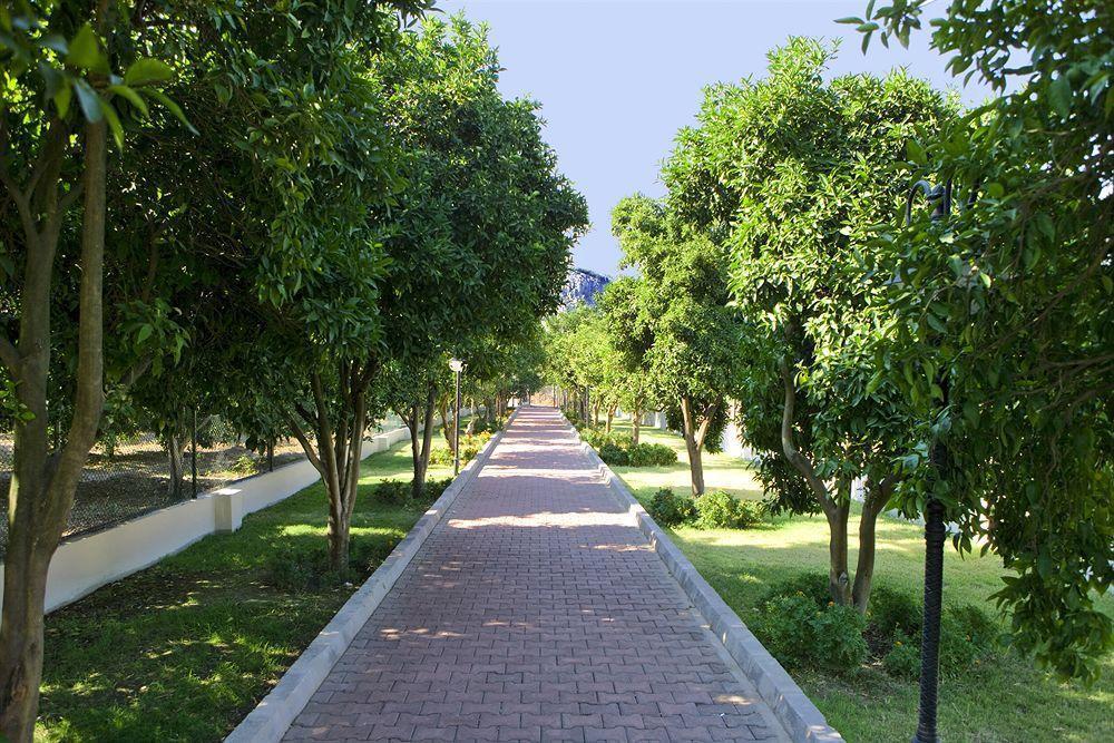 Бельдиби: Larissa Park