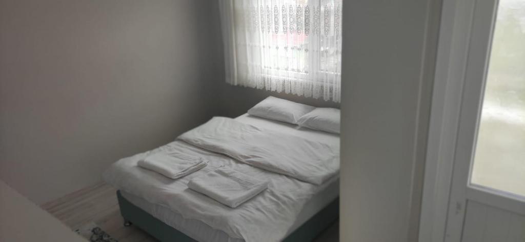 Чамлыхемшин: Elva Suites
