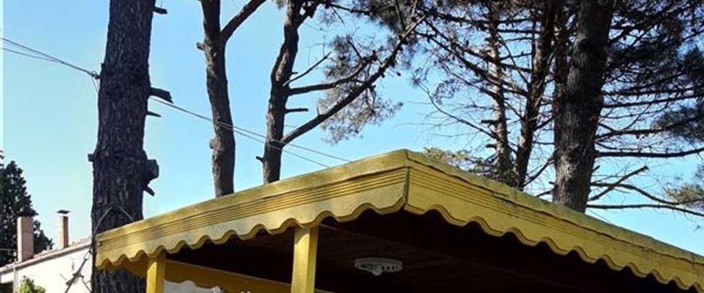 carousel image 4