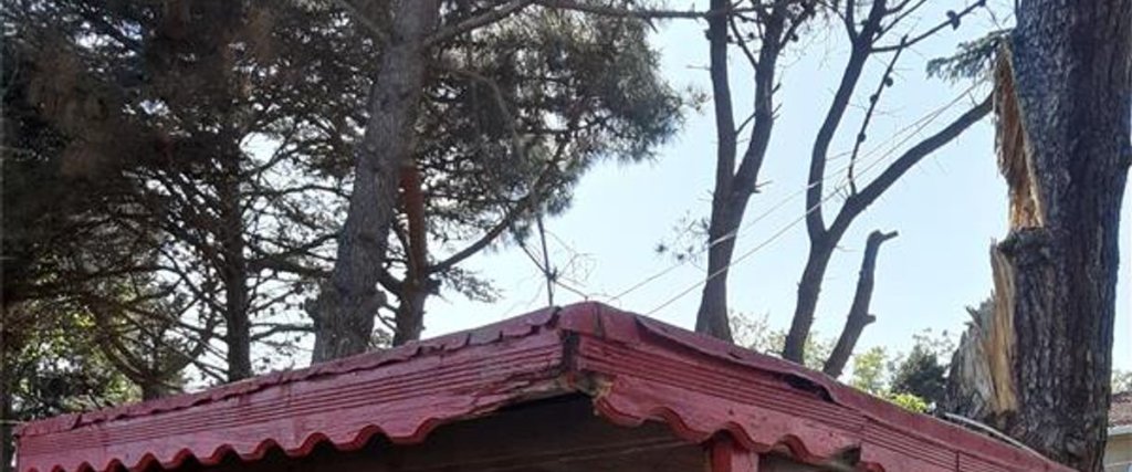 carousel image 3