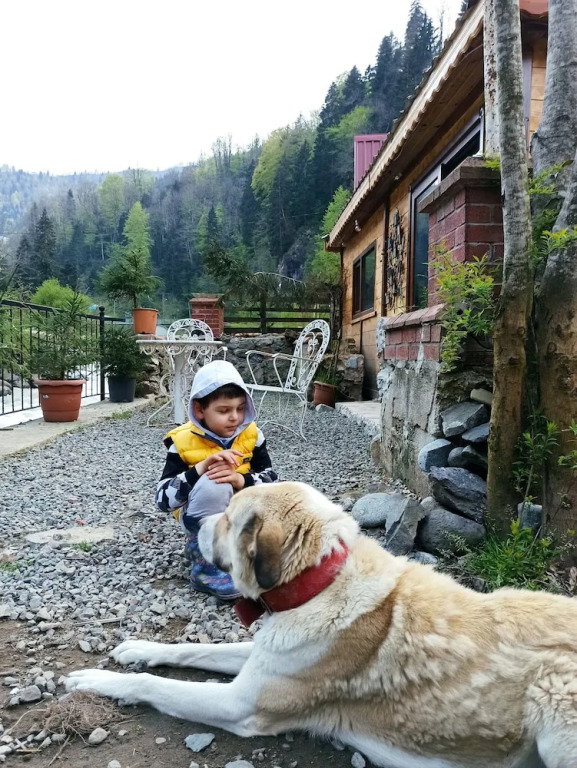 Чамлыхемшин: Mjora Otel Bungalov Ayder