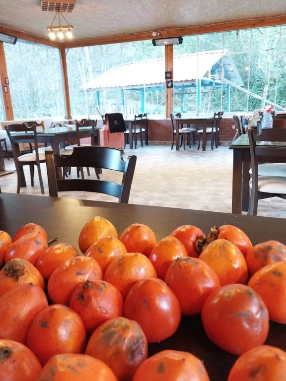 Чамлыхемшин: Mjora Otel Bungalov Ayder