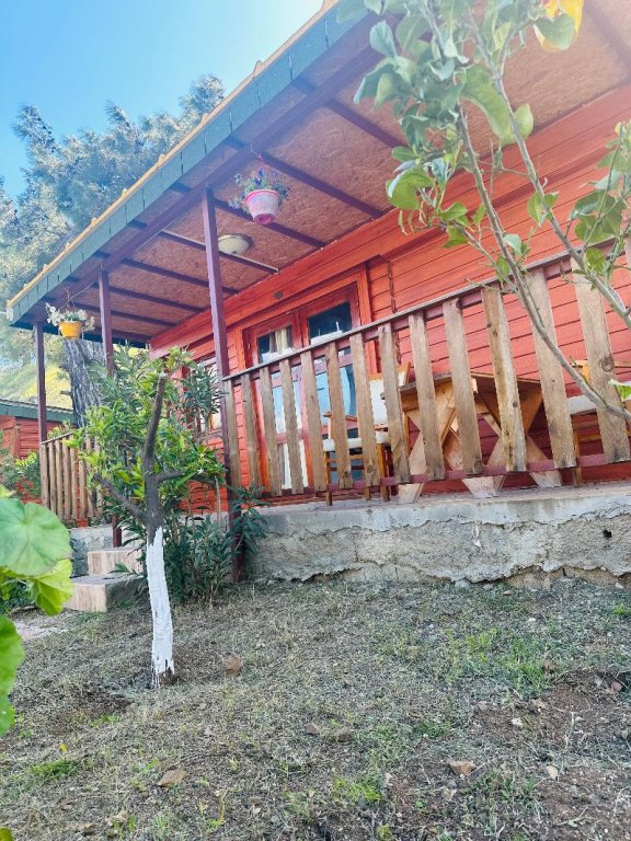 Чамьюва: Felicity Hotel & Bungalows