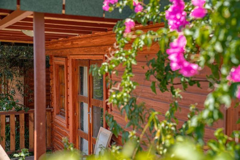 Чамьюва: Felicity Hotel & Bungalows