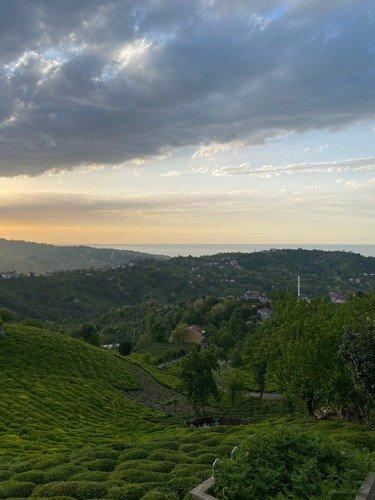 Чамлыхемшин: Home In Rize