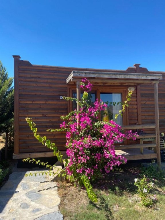 Бодрум: Cozy Tiny House With Shared Pool in Bodrum