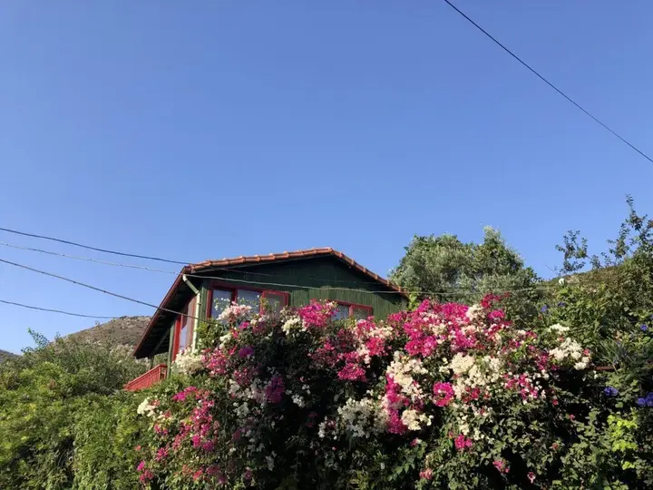 House With Amazing Sea View and Backyard in Bodrum — фото 4