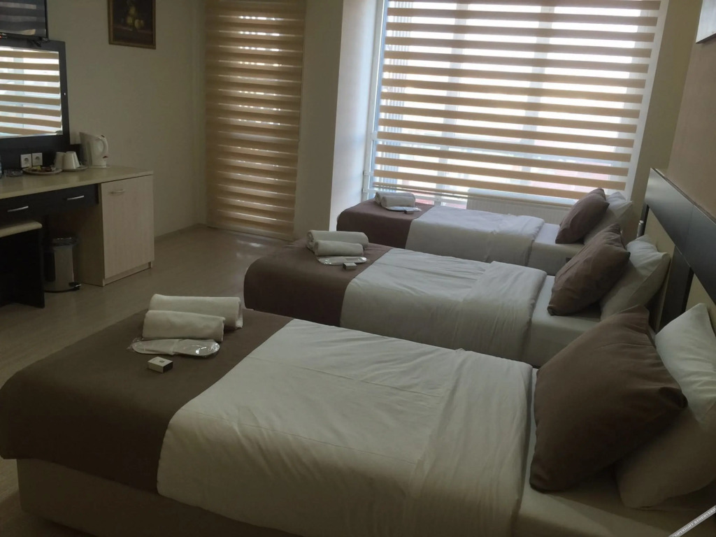 Эскишехир: Sinada Otel