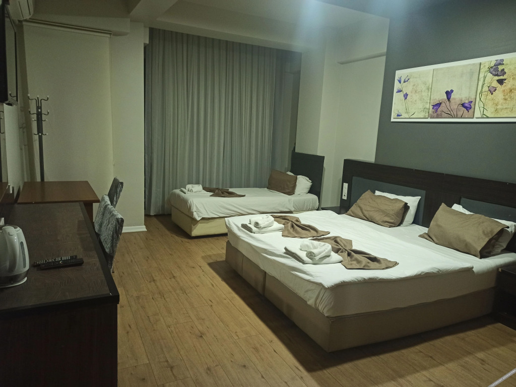 Эскишехир: Sinada Otel