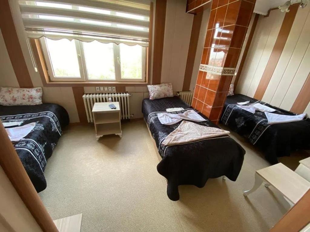 Эрзурум: Otel Buyuk Dogu