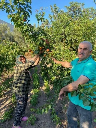 Эрдек: Ulker Pansiyon