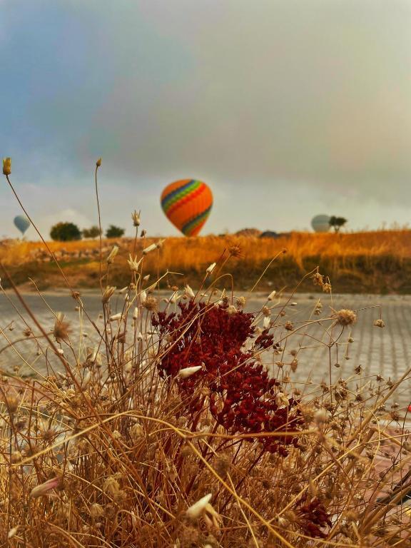 Учисар: Soleado Capadocia Hotel