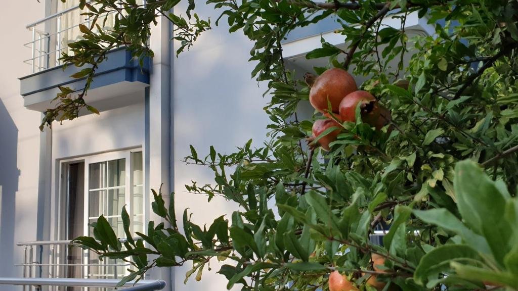 Кемер: Boni̇to House
