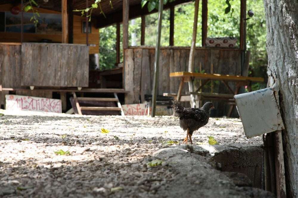 Кумлуджа: Olympos Alaturka Pansiyon