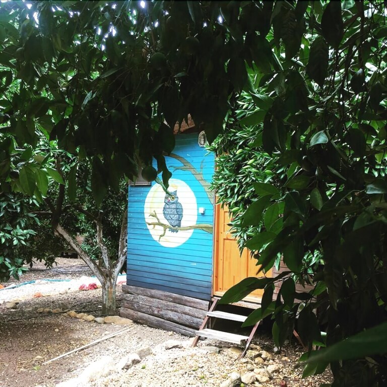 Кумлуджа: Olympos Alaturka Pansiyon