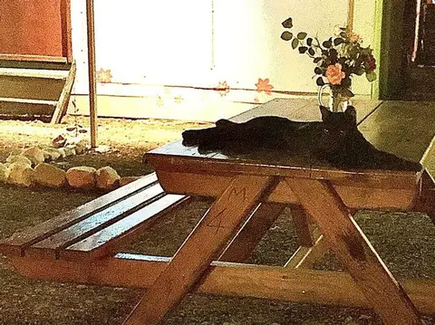 Кумлуджа: Iris Bungalow