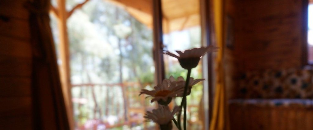 Кумлуджа: Olympos Mitolojik Tanrilar Kulubu