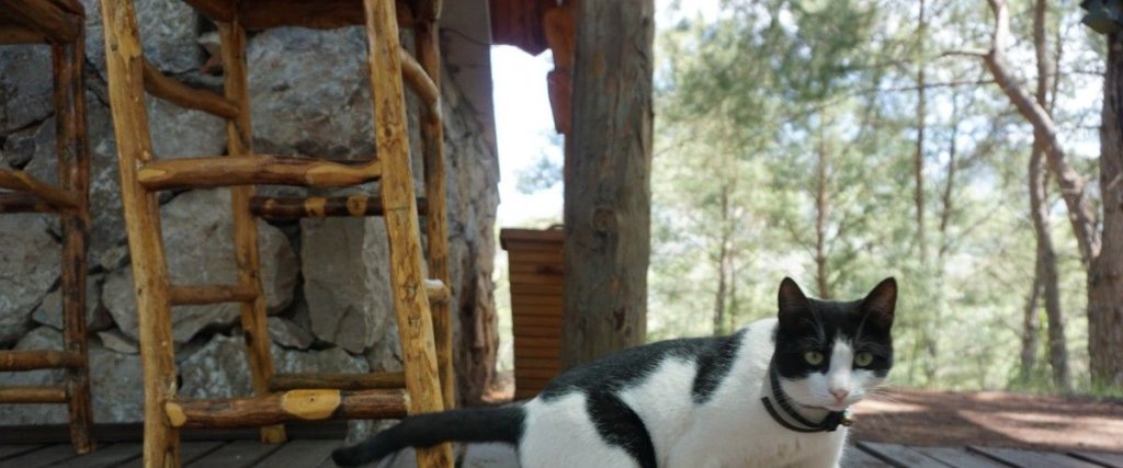Кумлуджа: Olympos Mitolojik Tanrilar Kulubu