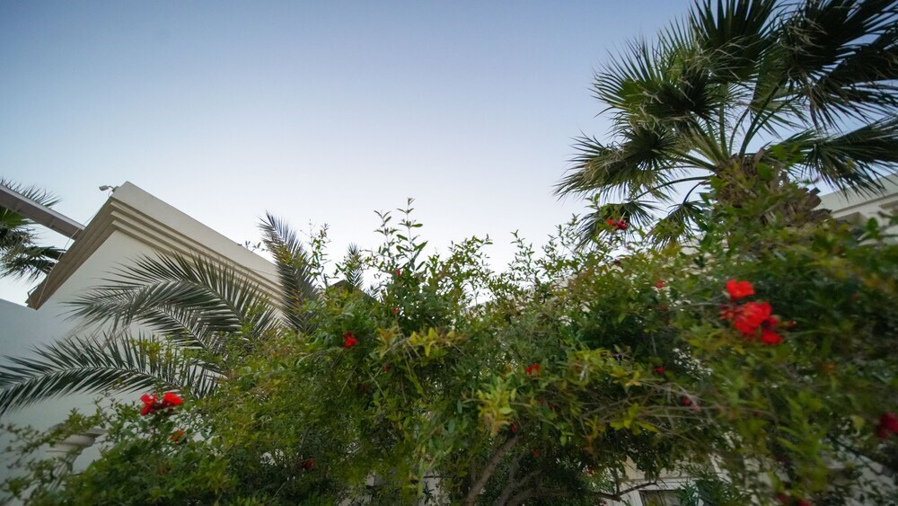 Бодрум: Zuzuu Beach Hotel
