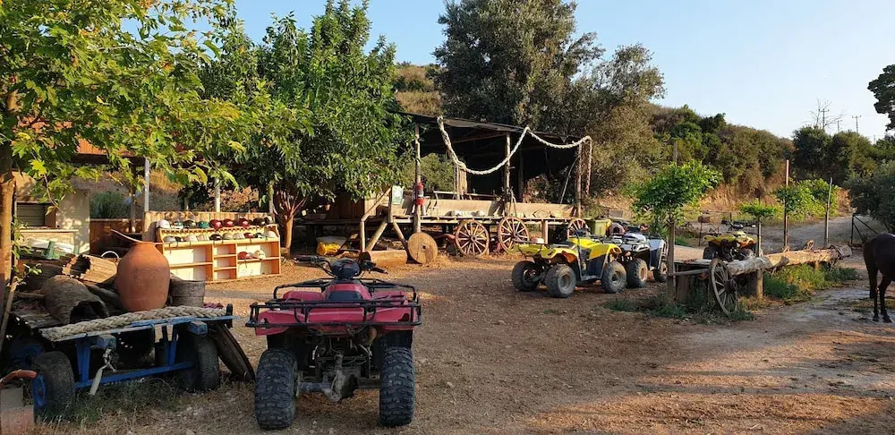 Патара: Patara Caretta Hotel